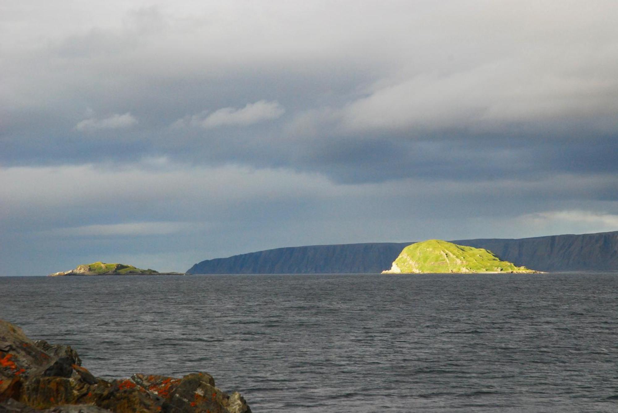 Kongsfjord Holiday Home Екстер'єр фото