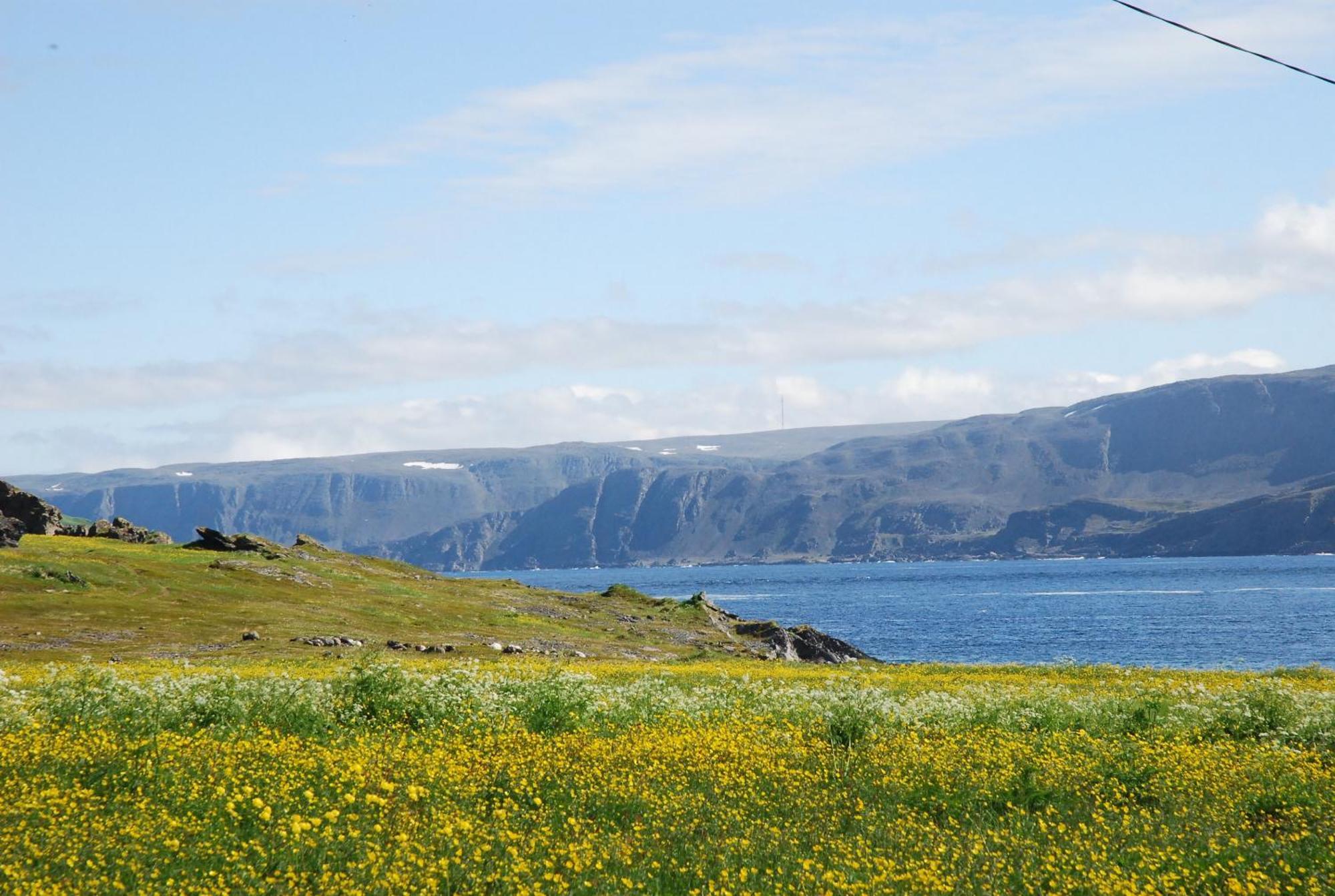 Kongsfjord Holiday Home Екстер'єр фото